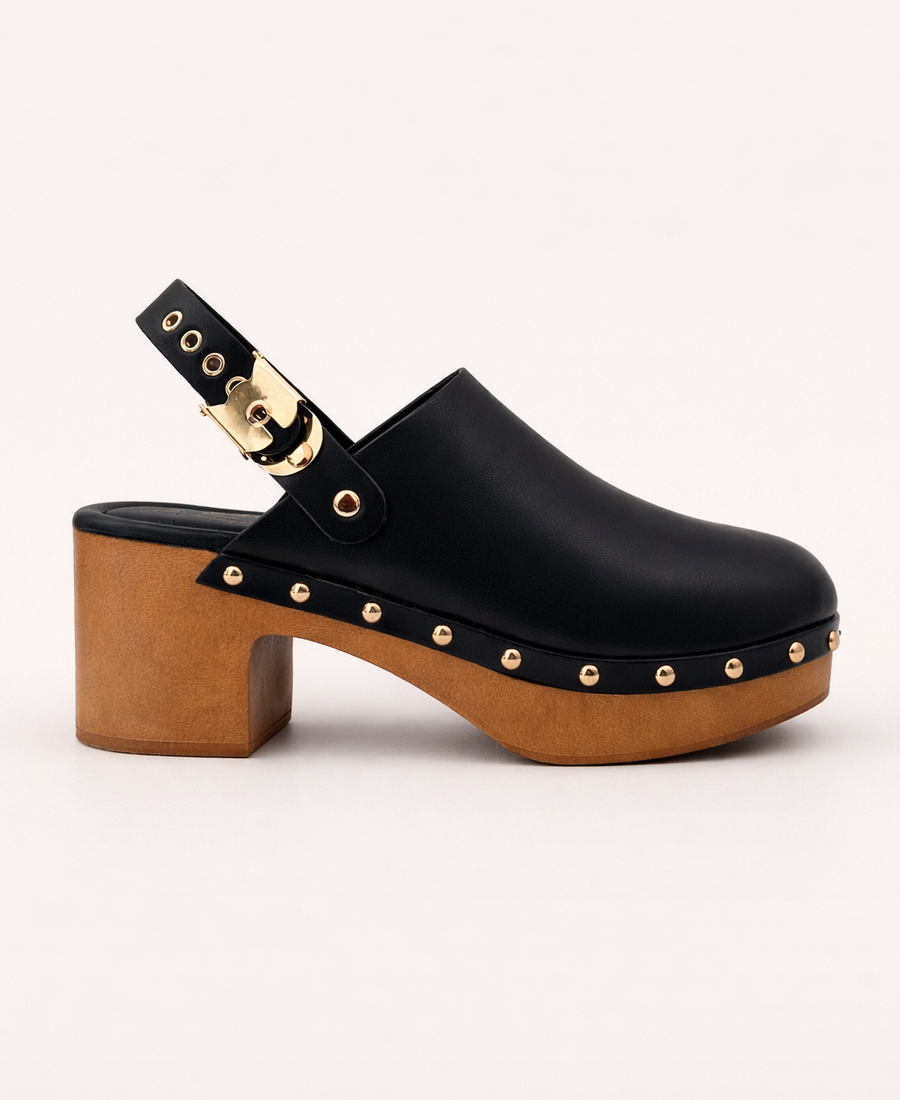 Mule Aryh