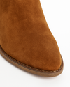 Bota Aryay