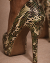 Exotic Elevation Heel — Python Muse