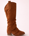 Bota Aryay