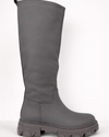 Bota Zabya