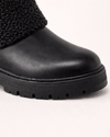 Bota Cariny
