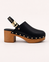 Mule Aryh