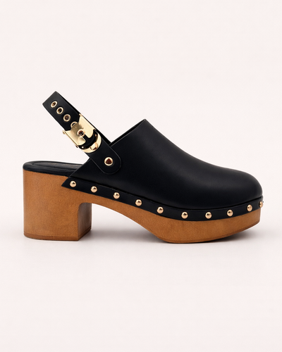 Mule Aryh
