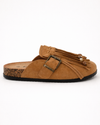 Mule Desert Fringe
