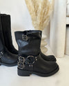 bota lariana